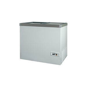 Profi-Gefrierschrank 1