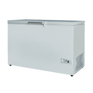 Profi-Gefrierschrank 1