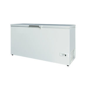Profi-Gefrierschrank 1