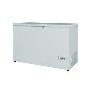 Profi-Gefrierschrank 1