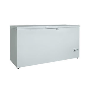Profi-Gefrierschrank 1