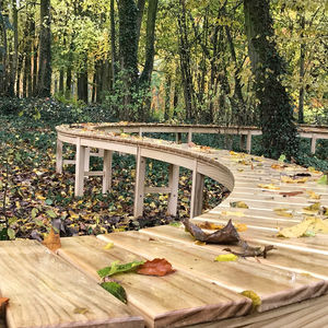 Holzbaumschutz