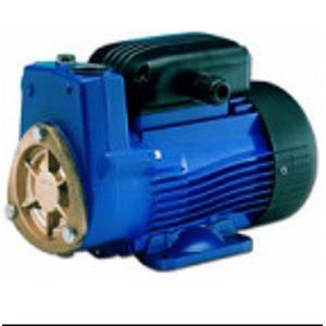 Wasserpumpe 1
