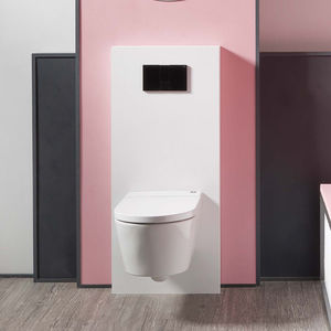 Installationselement für Wandtoiletten 1