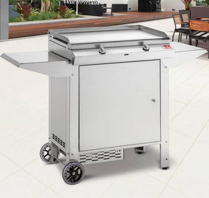 Gas-Gartengrill