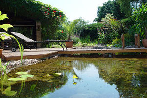 Naturschwimmbecken / erdverlegt / Stein / Außenbereich