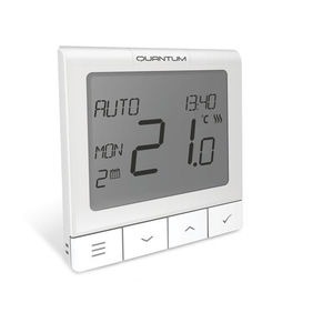elektronisches Thermostat