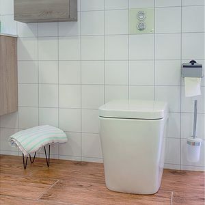 pneumatische Toilettenspülung