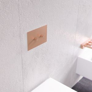 doppelter WC-Spülknopf