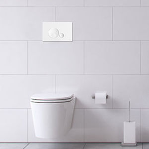 doppelter WC-Spülknopf