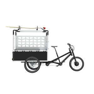 elektrischer Fahrzeug 1