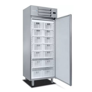 Profi-Gefrierschrank 1