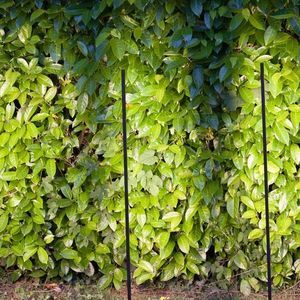 Leuchtpoller für Garten