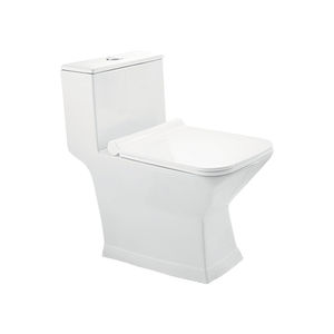 smartes WC