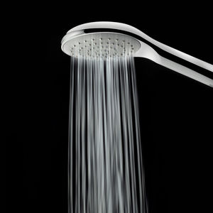 Hand-Handdusche