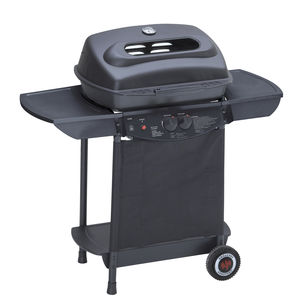 Gas-Gartengrill 1