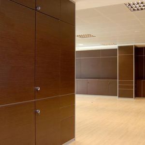 Lagerschrank für Büro