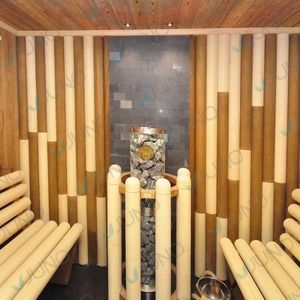elektrische Sauna 1