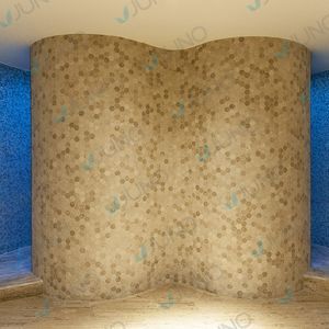 Vichy-Dusche / Dampf 1