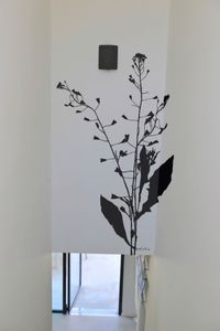 Natur-Wandtattoo