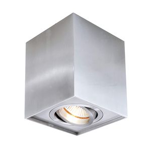 Downlight für Aufbau