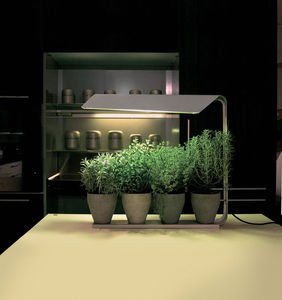 Pflanzenlampe
