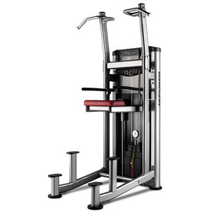 Dips-Fitnessgerät
