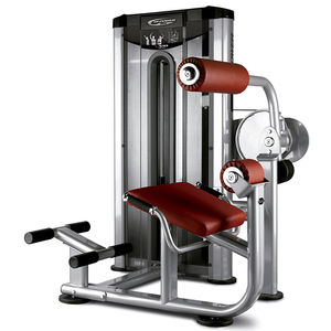 Rückenstreckungs-Fitnessgerät