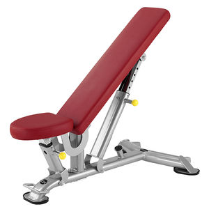 verstellbare Krafttrainingsbank