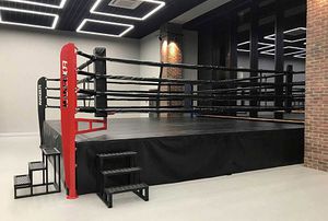 Boxring 1