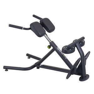 Rückenstreckungs-Fitnessgerät