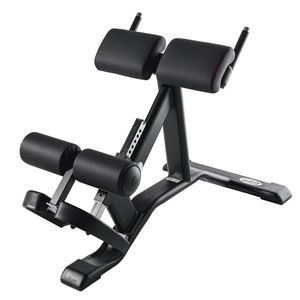 Rückenstreckungs-Fitnessgerät