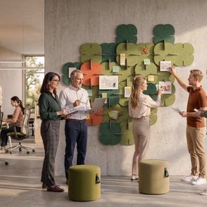 Schallschluckplatte für Wand 1