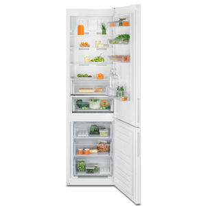 Kühl-Gefrierkombination / Schrank 1