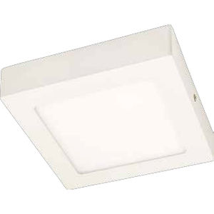 Downlight für Aufbau