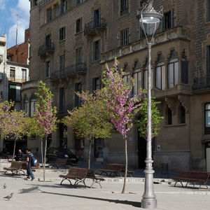 Straßenlaterne