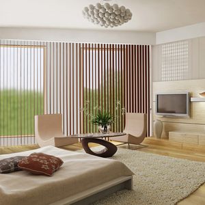 Vertikal-Rollos / Holz / Plexiglas® / maßgefertigt