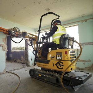 Minibagger