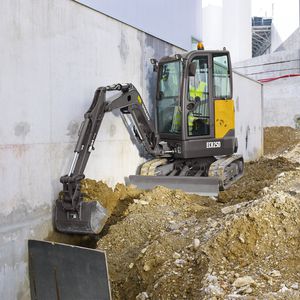 Minibagger 1
