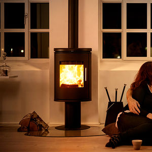Holz-Kaminofen 1