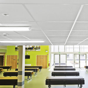 Abgehängte Decke / Steinwolle