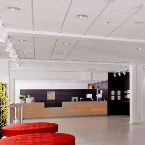 Abgehängte Decke / Steinwolle
