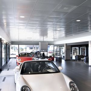 Abgehängte Decke / Metall - PLANAR® AND PLANAR® PLUS - Rockfon - Holz