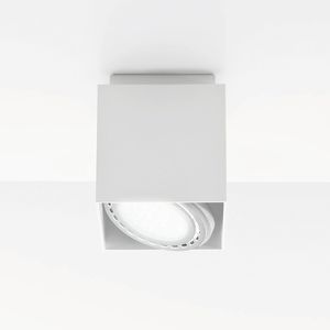 Downlight für Aufbau