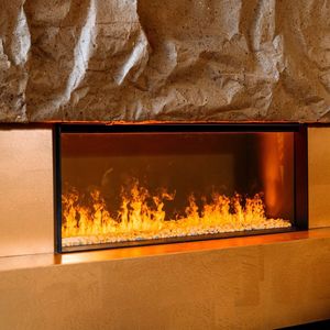 elektrische Geschlossene Feuerstelle 1