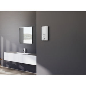 elektrischer Warmwasserbereiter 1