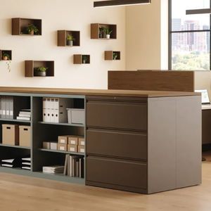 mobiler Lagerschrank 1