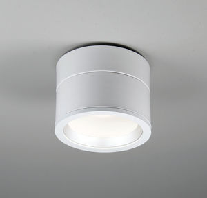 Downlight für Aufbau