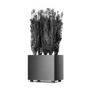 Aluminium-Pflanzkübel / quadratisch / rechteckig / rund
