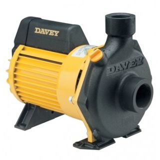 Schwimmbadpumpe - DYNAFLO® : 62001 - DAVEY
